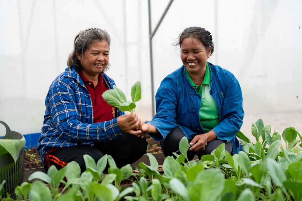 From Solar Power to Sustainable Livelihoods, How Clean Energy is Bringing Families Back Home in Udon Thani