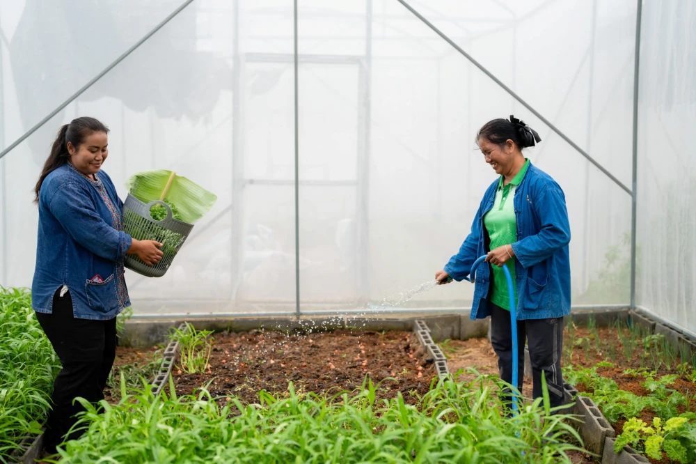 From Solar Power to Sustainable Livelihoods, How Clean Energy is Bringing Families Back Home in Udon Thani — photo 1