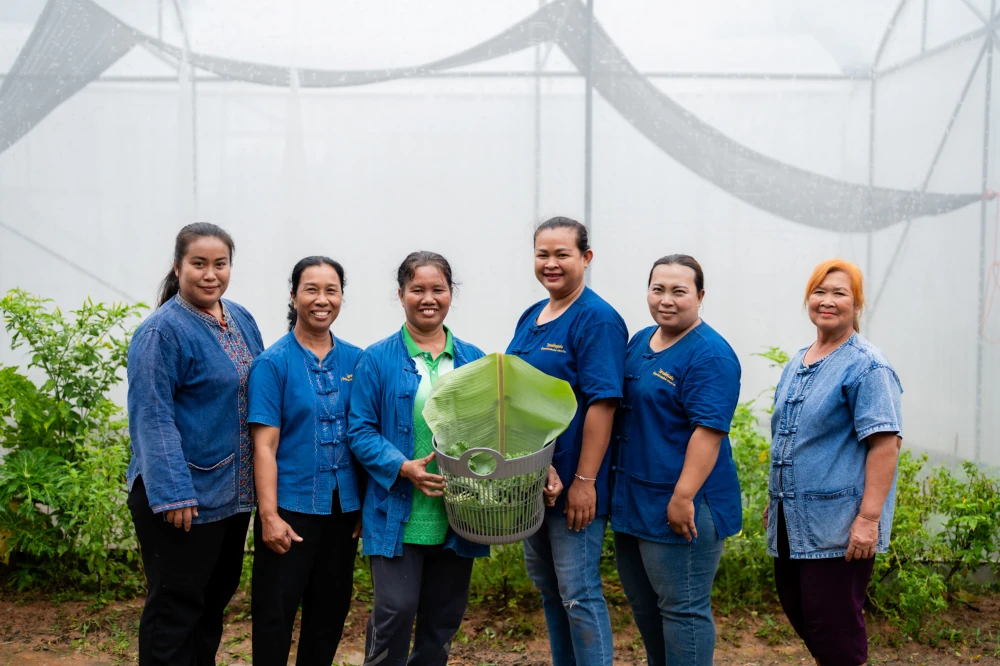 From Solar Power to Sustainable Livelihoods, How Clean Energy is Bringing Families Back Home in Udon Thani — photo 4