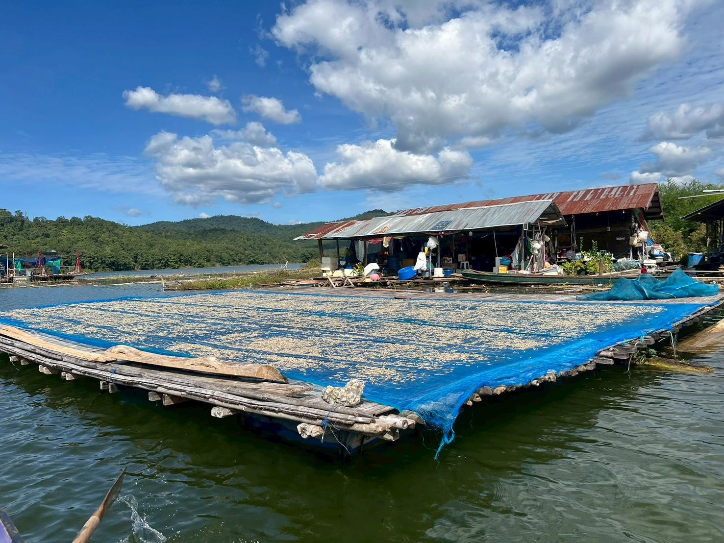 Empowering Communities: Clean Energy Redefines Life Beyond the Dark Help GULF light up remote areas by nominating off-grid locations for free solar panels by August 28 — photo 5